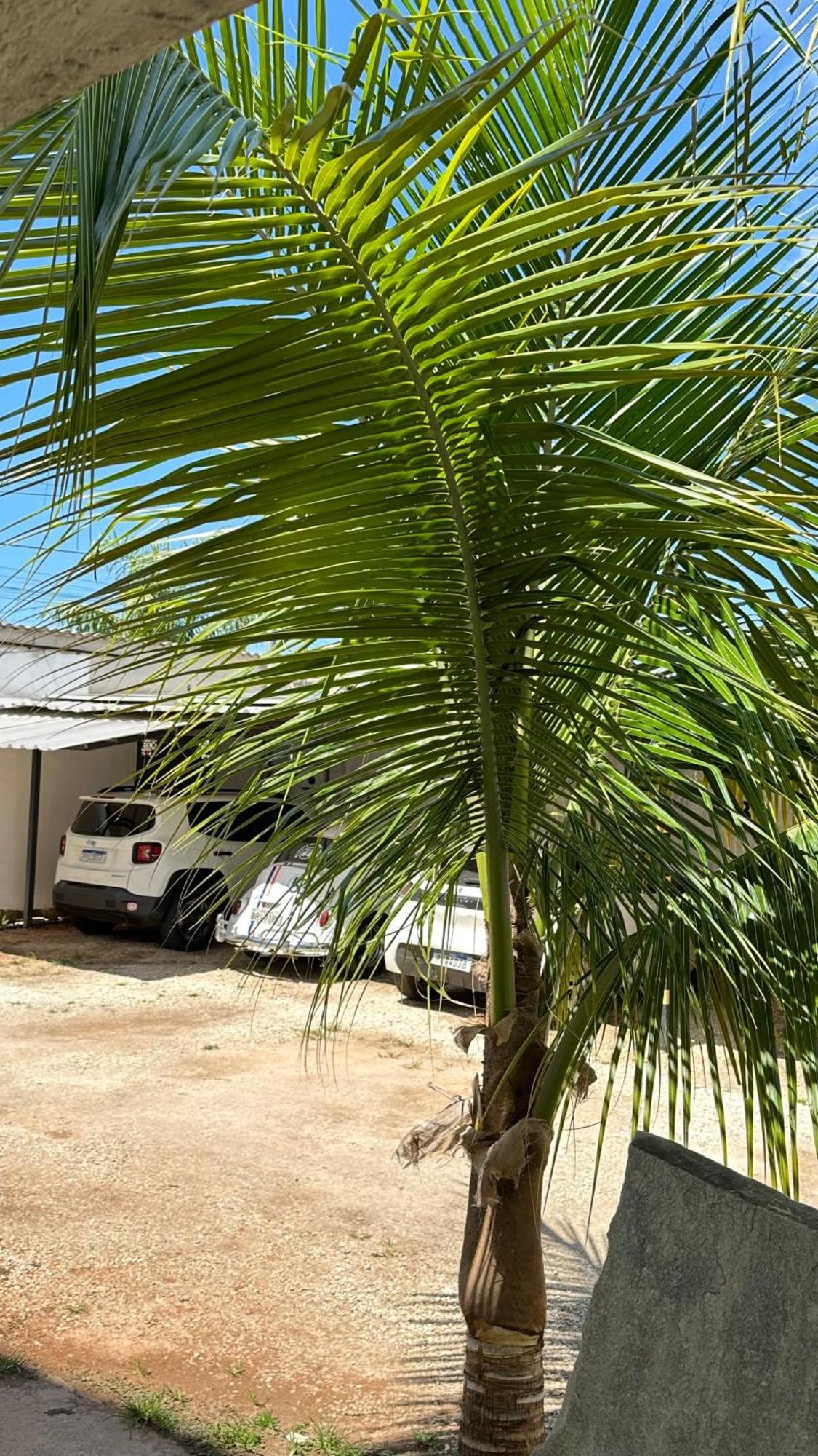 Pousada Caminho Das Cachoeiras Pirenópolis Exterior foto